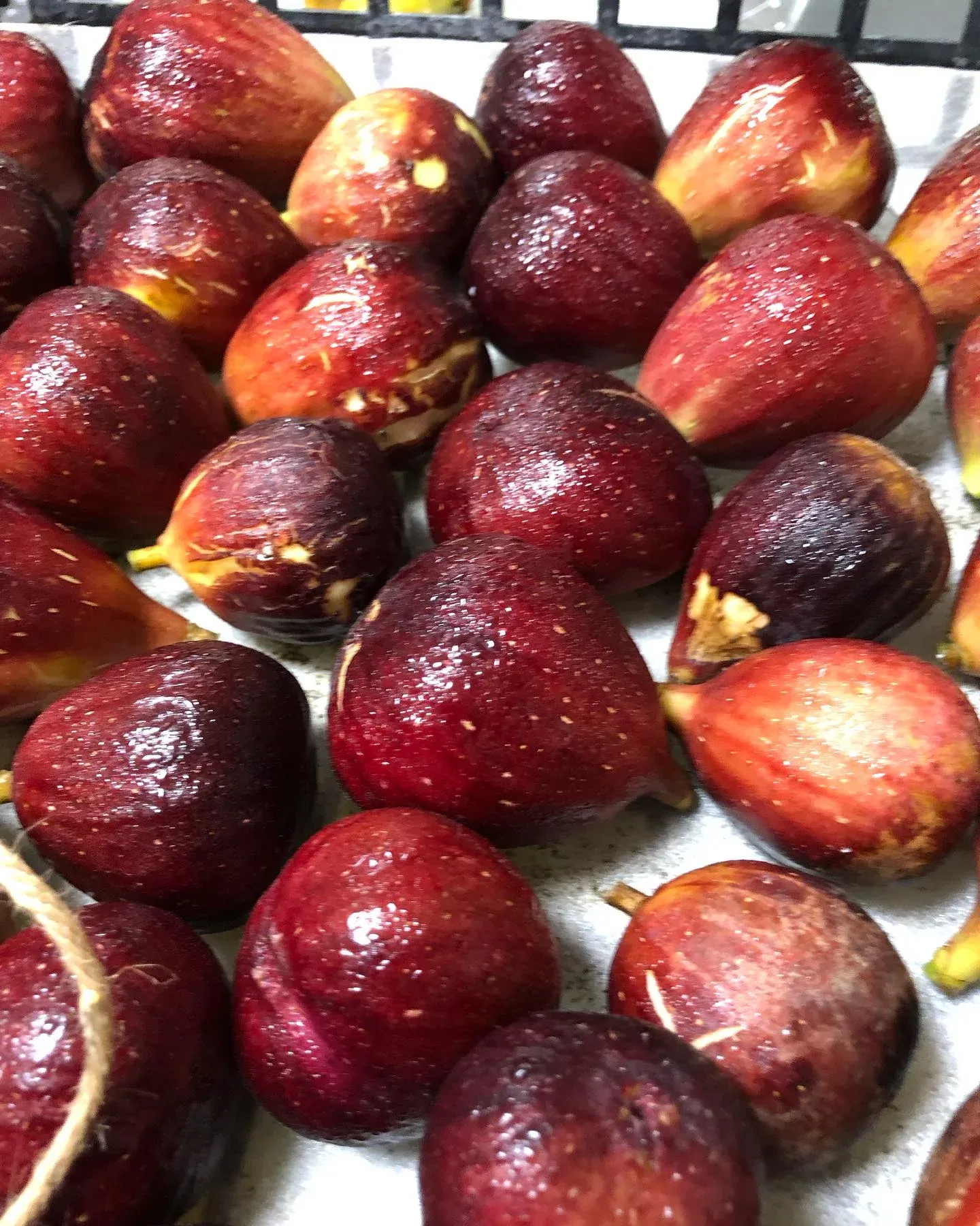 自家農園のいちじく