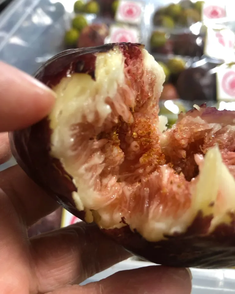 いちじく農園 キッチンさわ 手で割った黒紫のいちじくの赤い果肉